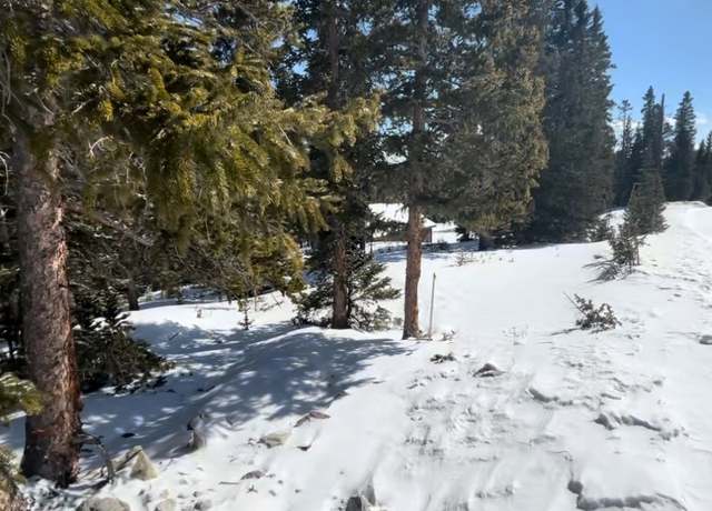 Property at 272 Grizzly Dr, Fairplay, CO 80440