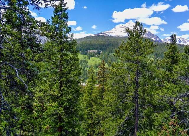 Property at 1013 Range Rd, Breckenridge, CO 80424