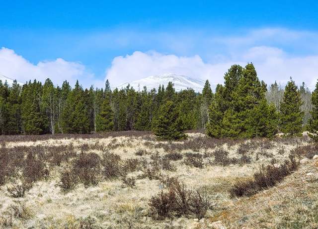 Property at 162 Thickspike Rd, Fairplay, CO 80440