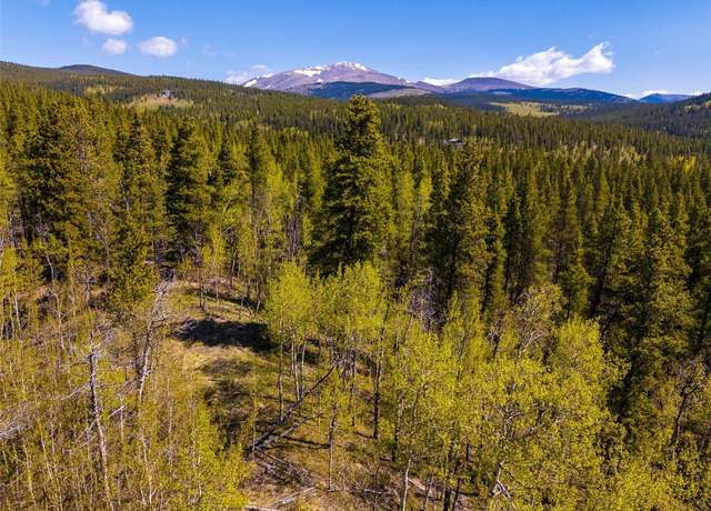 Property at 89 Ski Doo Rd, Fairplay, CO 80440