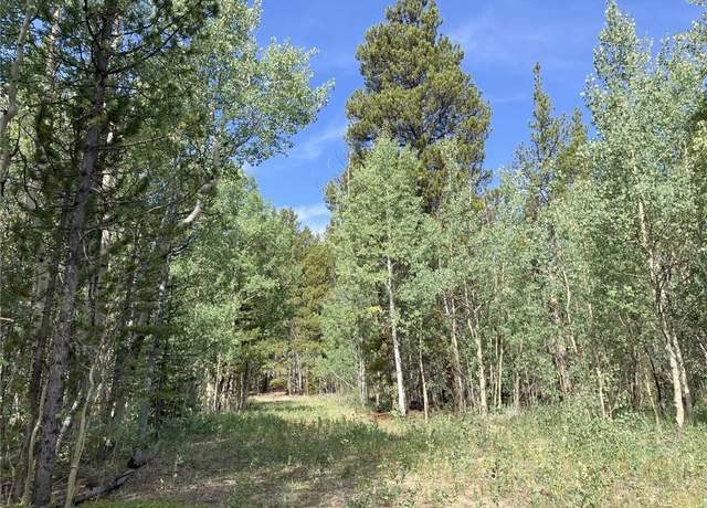 Property at 89 Ski Doo Rd, Fairplay, CO 80440