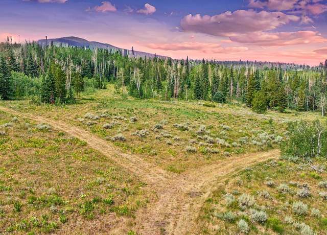 Property at TBD Spring Creek Ranch Rd, Silverthorne, CO 80498