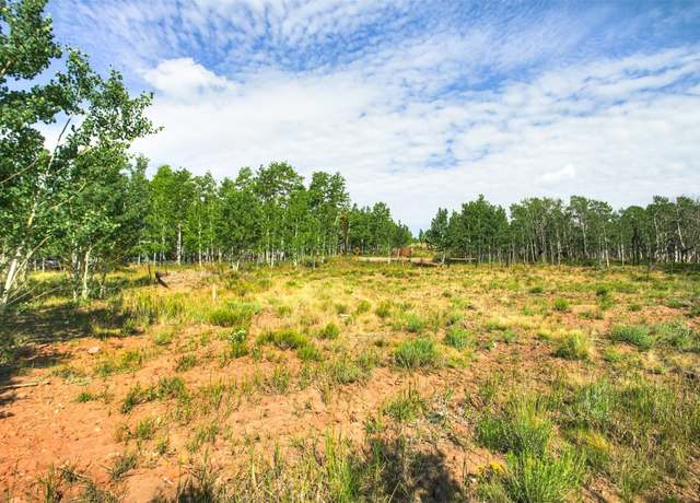 Property at 240 Beaver Ln, Fairplay, CO 80440