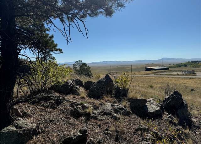 Property at 123 Campfire Rd, Hartsel, CO 80449
