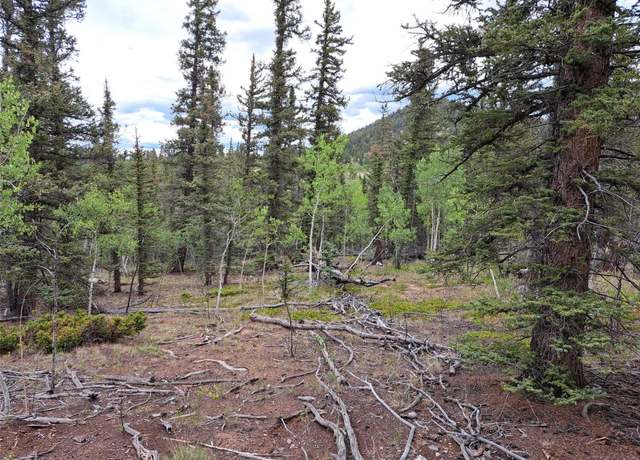 Property at 256 Bear Way, Como, CO 80432