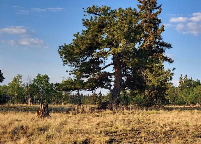 Property at 22 Teton Trl, Como, CO 80432