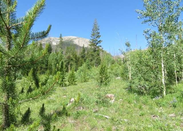 Property at 58 Sky Pilot Ln, Silverthorne, CO 80498