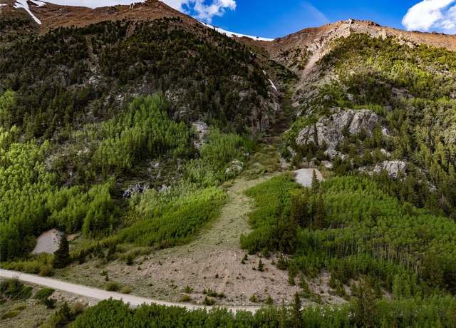 Property at TBD Forest Service Road 451, Alma, CO 80420