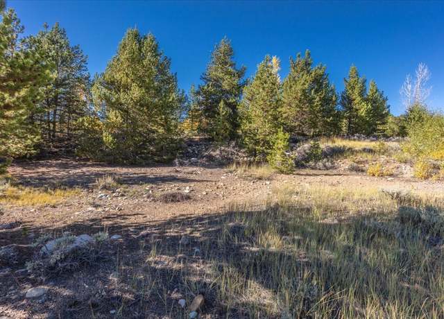 Property at TBD Tbd, Leadville, CO 80461