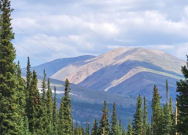 Property at 461 Prunes Pl, Fairplay, CO 80440