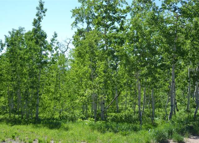 Property at 57850 Longfellow Way, Clark, CO 80428