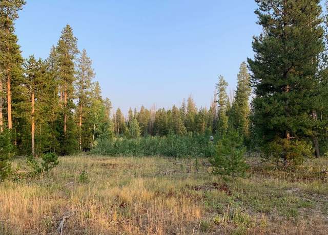 Property at 20935 Cayuse Way, Oak Creek, CO 80467