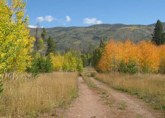 Property at 000 Springboard Trl, Oak Creek, CO 80467