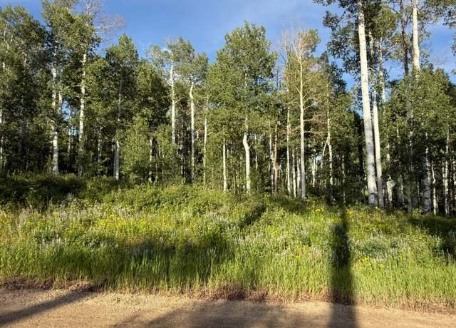 Property at 26320 Beaver Canyon Dr, Clark, CO 80428