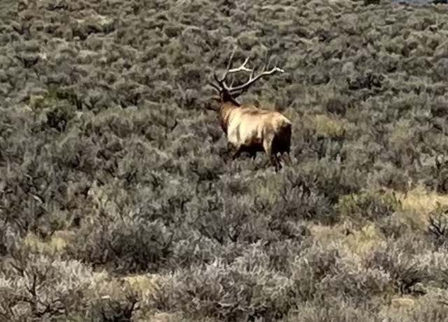 Property at TBD Hwy 40, Maybell, CO 81640