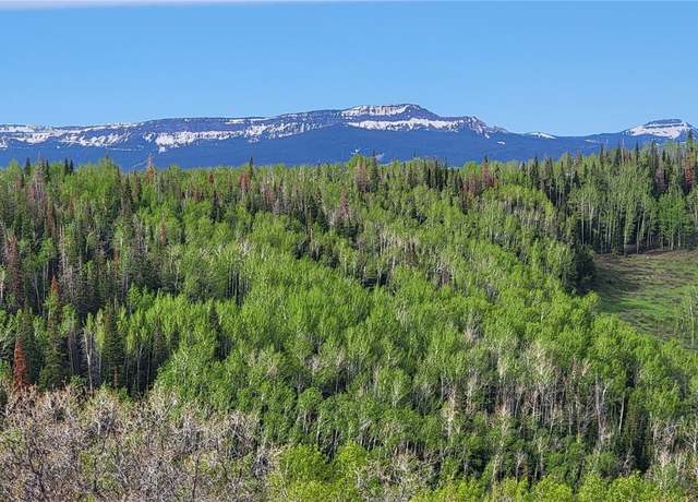 Property at TBD Silverado Rd, Oak Creek, CO 80467