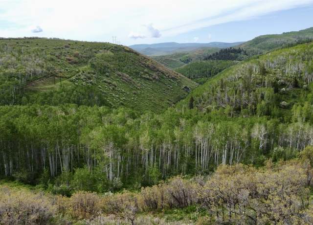 Property at 24425 Lone Tooth Trl, Oak Creek, CO 80467