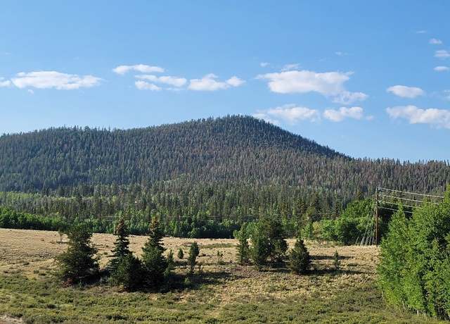 Property at 1630 Wampum Ln, Como, CO 80432