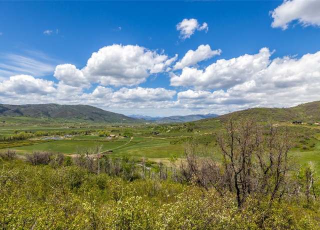 Property at 34315 Panorama Dr, Steamboat Springs, CO 80487