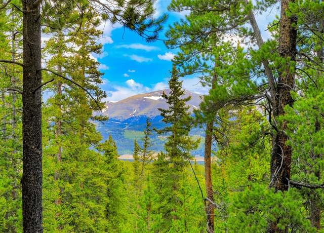 Property at TBD Dry Gulch, Fairplay, CO 80440