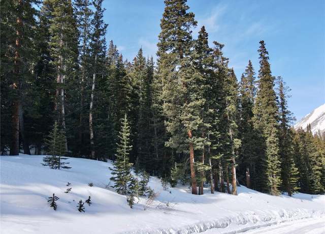 Property at 781 Kimmes Ln, Breckenridge, CO 80424