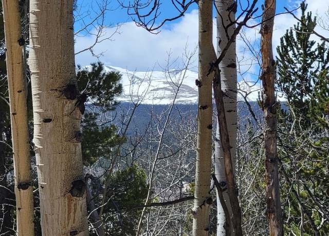 Property at 667 Ponderosa Rd, Alma, CO 80420