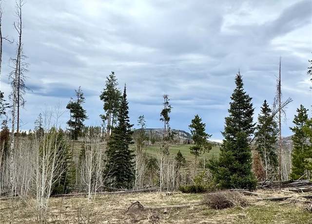 Property at TBD Rein Way, Oak Creek, CO 80467