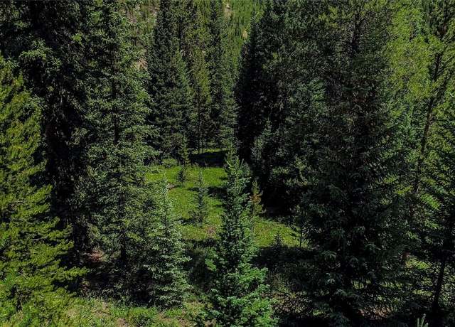 Property at 0289 County Road 535, Breckenridge, CO 80424