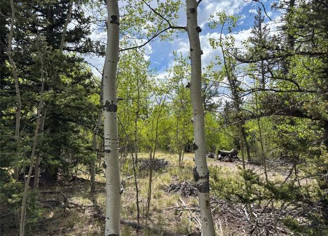 Property at 514 Chief Trl, Como, CO 80432