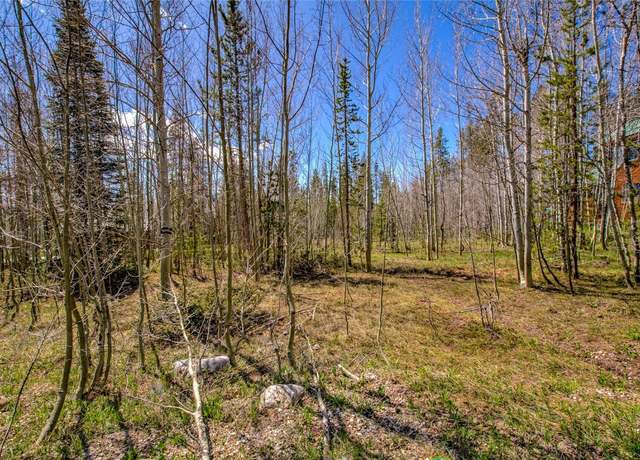 Property at 516 Royal Red Bird Dr, Silverthorne, CO 80498