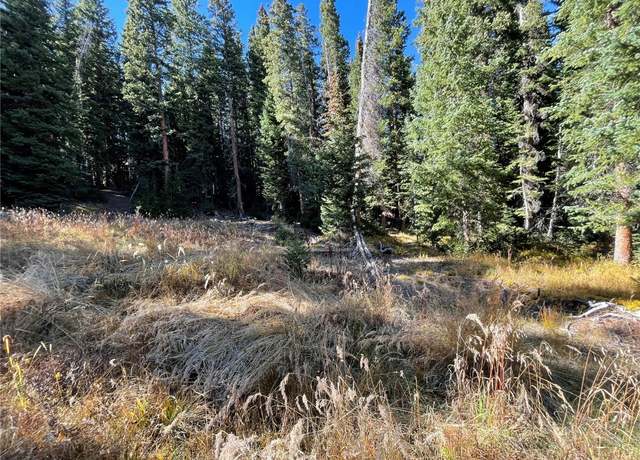 Property at 11 Kimmes Ln, Breckenridge, CO 80424