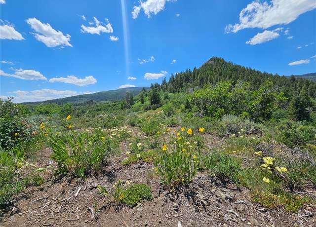 Property at 06 Youngs Creek Way, Oak Creek, CO 80467