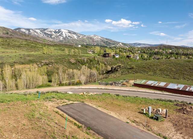 Property at 94 Woods Dr, Steamboat Springs, CO 80487