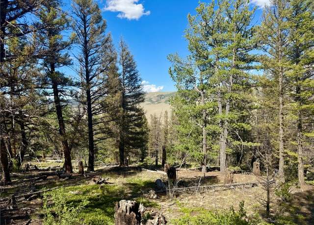 Property at Lot 223 Middle Fork Vis, Fairplay, CO 80440