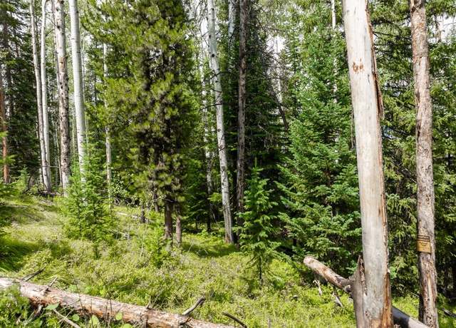 Property at 39455 Crows Nest Dr, Clark, CO 80428