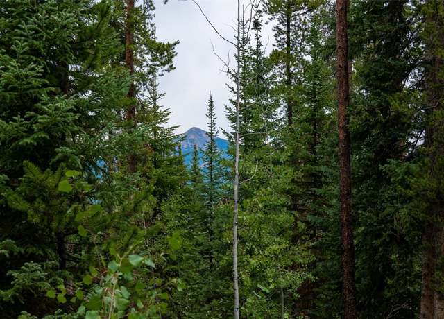 Property at 39455 Crows Nest Dr, Clark, CO 80428