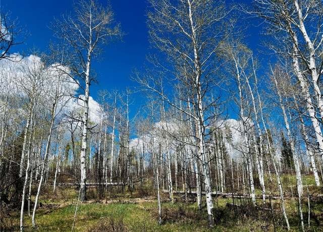 Property at Lot 124 Wagon Wheel Trl, Oak Creek, CO 80467