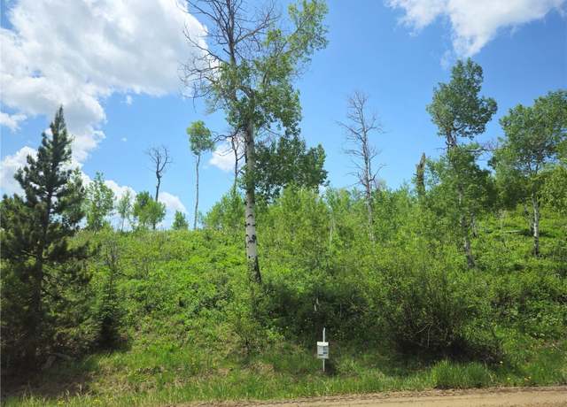 Property at 57615 Longfellow Way, Clark, CO 80428