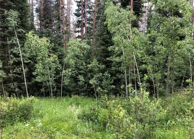 Property at TBD Springboard Trl, Oak Creek, CO 80467