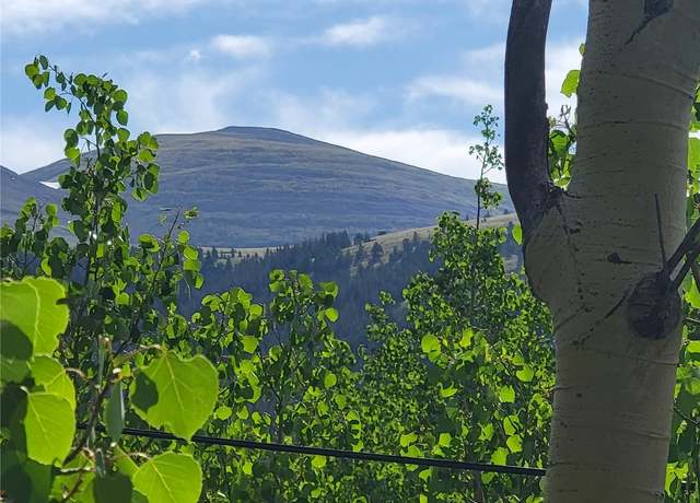 Property at 1191 Quartzville Rd, Alma, CO 80420