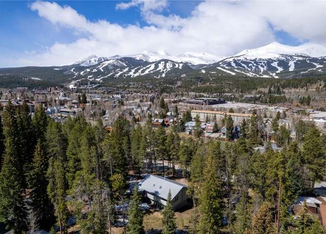 Property at 212 Briar Rose Ln, Breckenridge, CO 80424, 4 beds, 2 baths