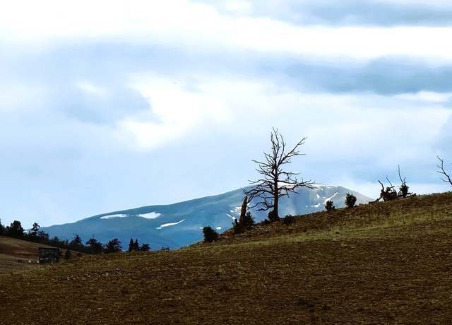 Property at 384 Cathy Dr, Hartsel, CO 80449