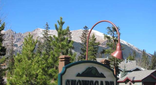 Photo of 9401 Ryan Gulch Rd #12, Silverthorne, CO 80498