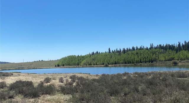 Photo of 756 Iron Mountain Rd, Fairplay, CO 80440
