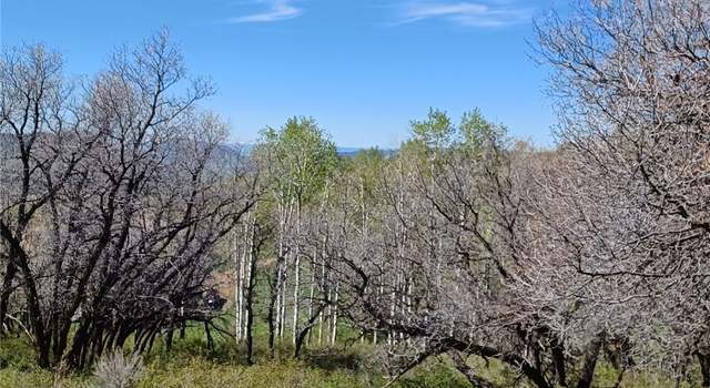 Photo of - Tbd Olive Street St, Clark, CO 80428