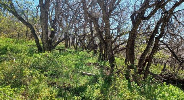 Photo of - Tbd Olive Street St, Clark, CO 80428