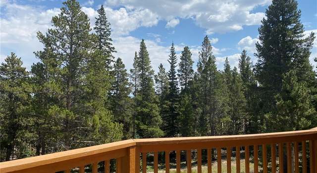 Photo of 264 Gold Trail Cir, Fairplay, CO 80440