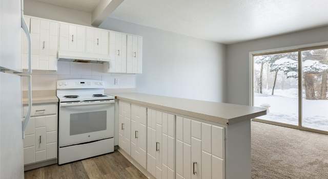 Photo of 1143 Straight Creek Dr #101, Dillon, CO 80435