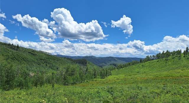 Photo of 27115 St Louis Pl, Clark, CO 80428