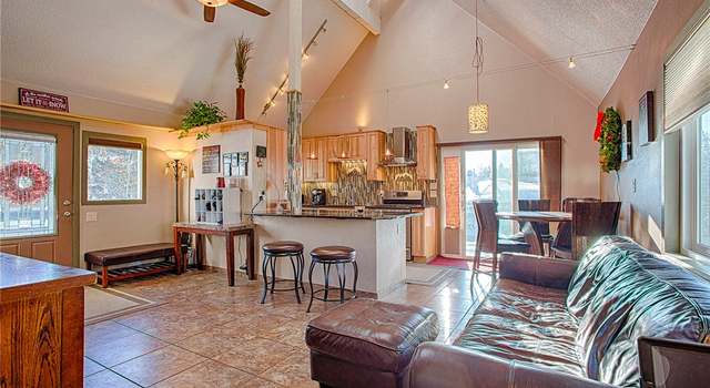 Photo of 353 & 355 Big Elk Rd, Dillon, CO 80435